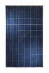 Солнечная панель  ABi-Solar CL-P72295, 295 Wp,Poly